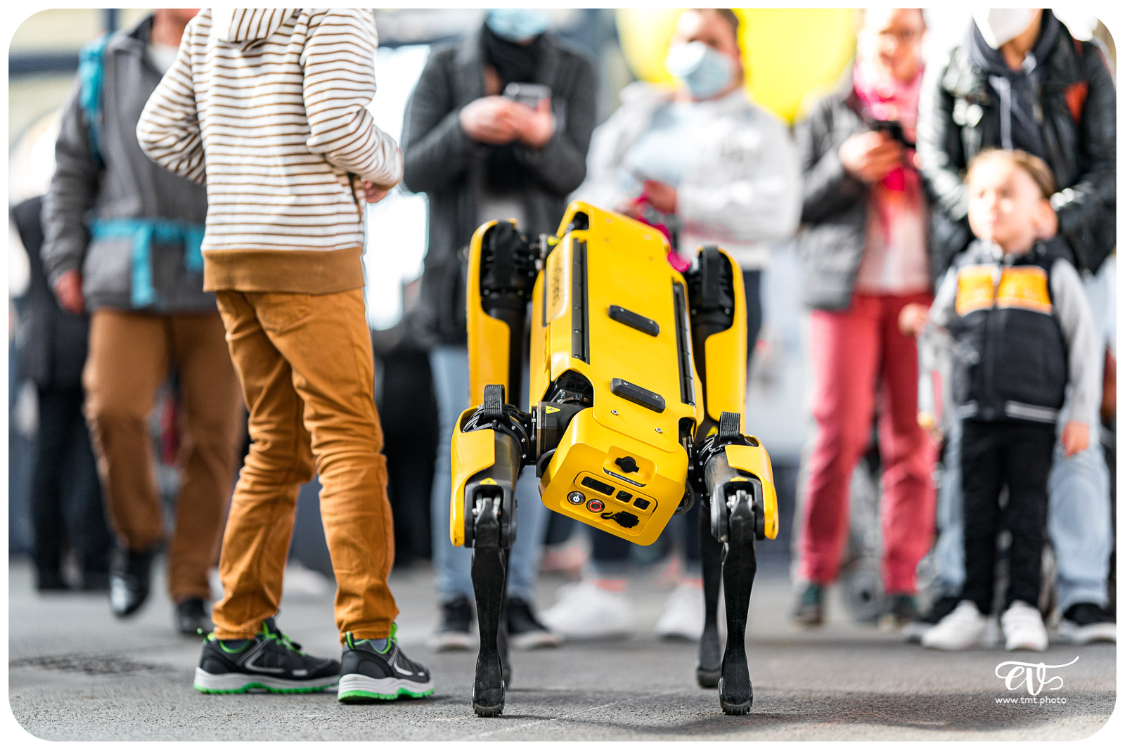 SPOT (BOSTON DYNAMICS)